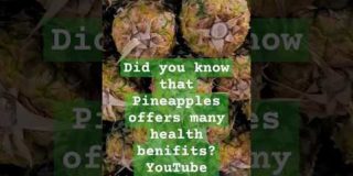 Did you know that pineapples offer many health benefits? #YouTube @DrAshmon #shorts #short #viral