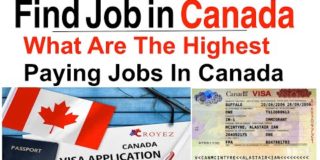 What Are The Highest Paying Jobs In Canada Based On Education Level | Canada Visa|Canada Immigration