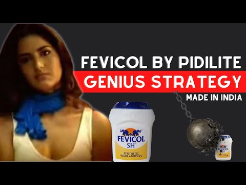 How Pidilites STRATEGY made it a GOLDMINE stock giving 14000 returns Business Case Study