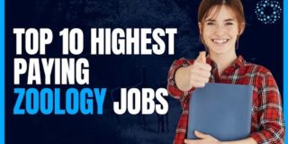 Top 10  Highest Paying Zoology jobs