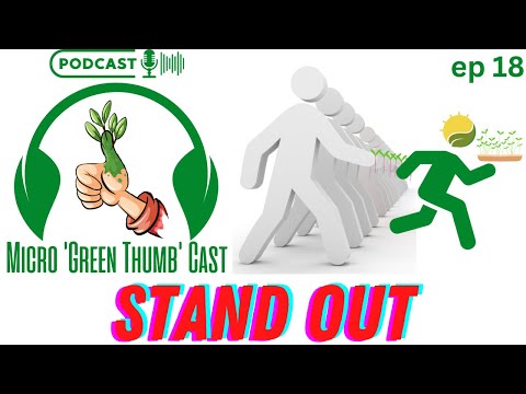 Stand Out Strategies for Your Microgreens Business with @bagelfinagle 🌱🌱🌱Episode 18