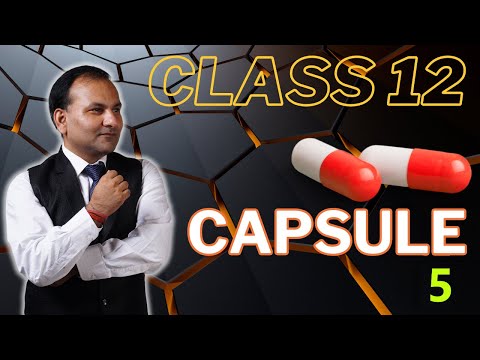 BST 2023 24 CLASS 12 CAPSULE | bst class12 | class 12 business studies | Important case studies