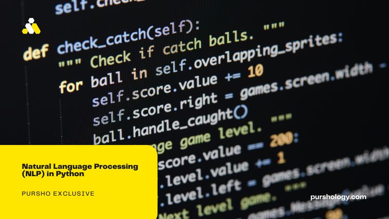 Natural Language Processing (NLP) in Python