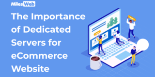 The Importance of Dedicated Servers for eCommerce Website
