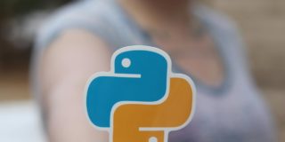 Person Holding an Orange and Blue Python Sticker