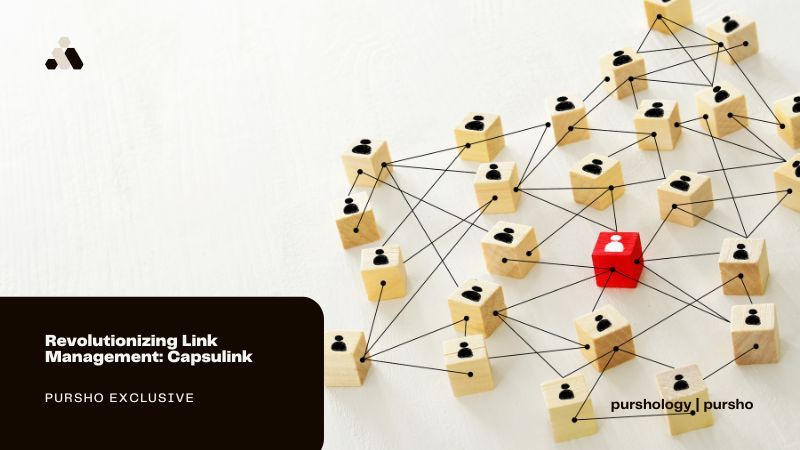 Revolutionizing Link Management: Capsulink
