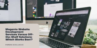 Magento Website Development Services Versus Off-the-Shelf Solutions: Which Works Best?