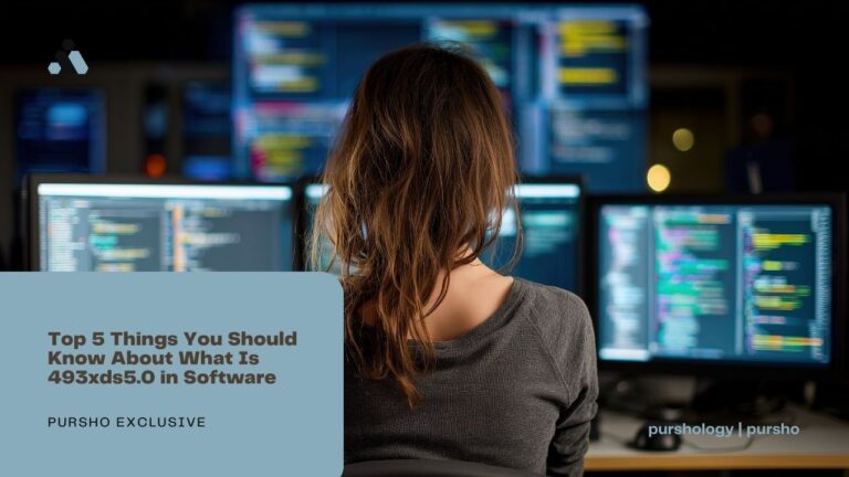 Top 5 Things You Should Know About What Is 493xds5.0 in Software