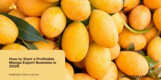 How to Start a Profitable Mango Export Business in 2026