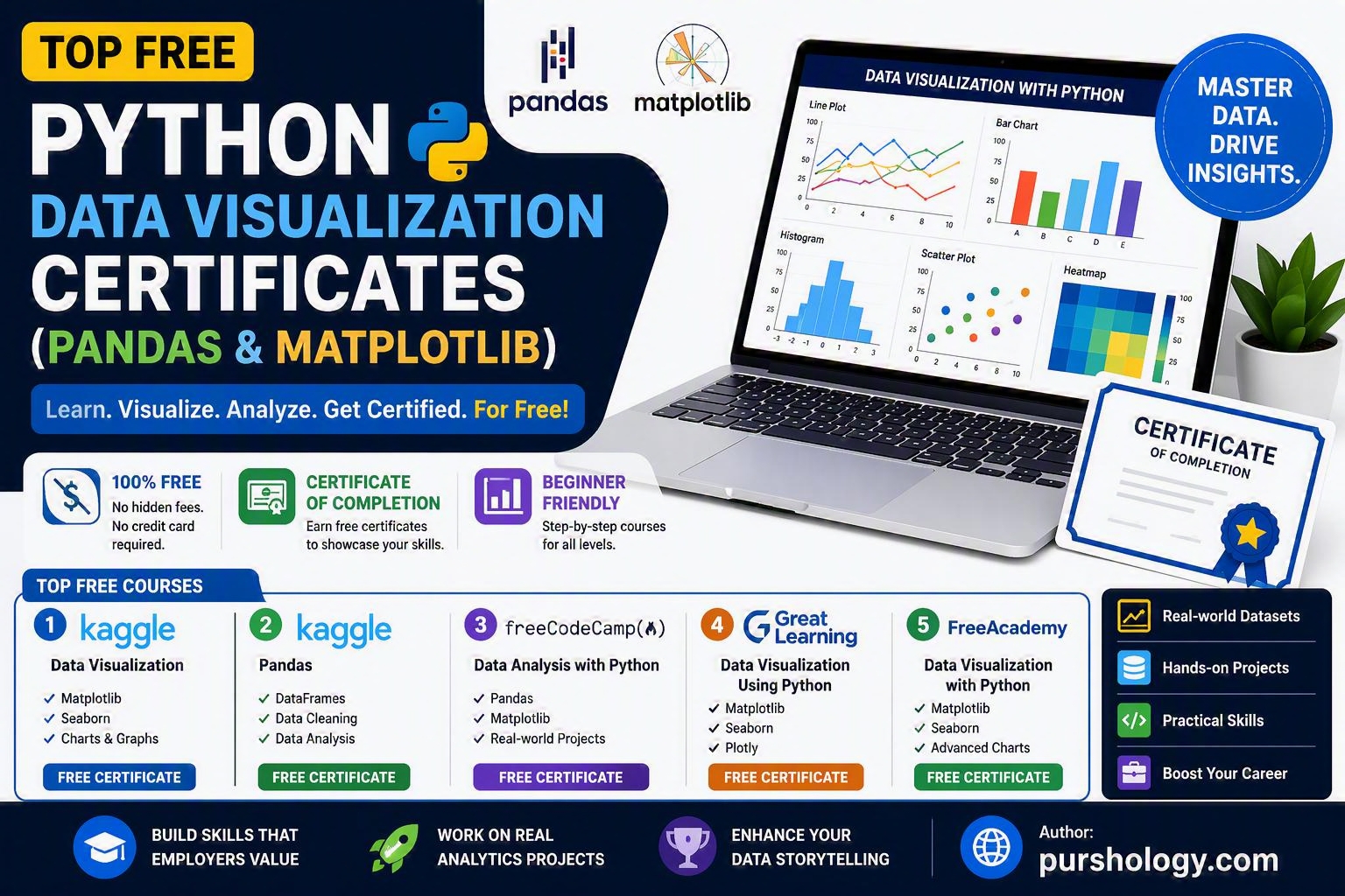 Top Free Python Data Visualization Certificates (Pandas & Matplotlib)